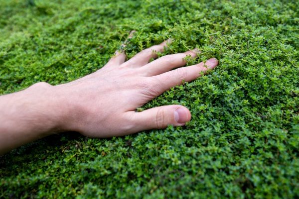 A mass exit from social media